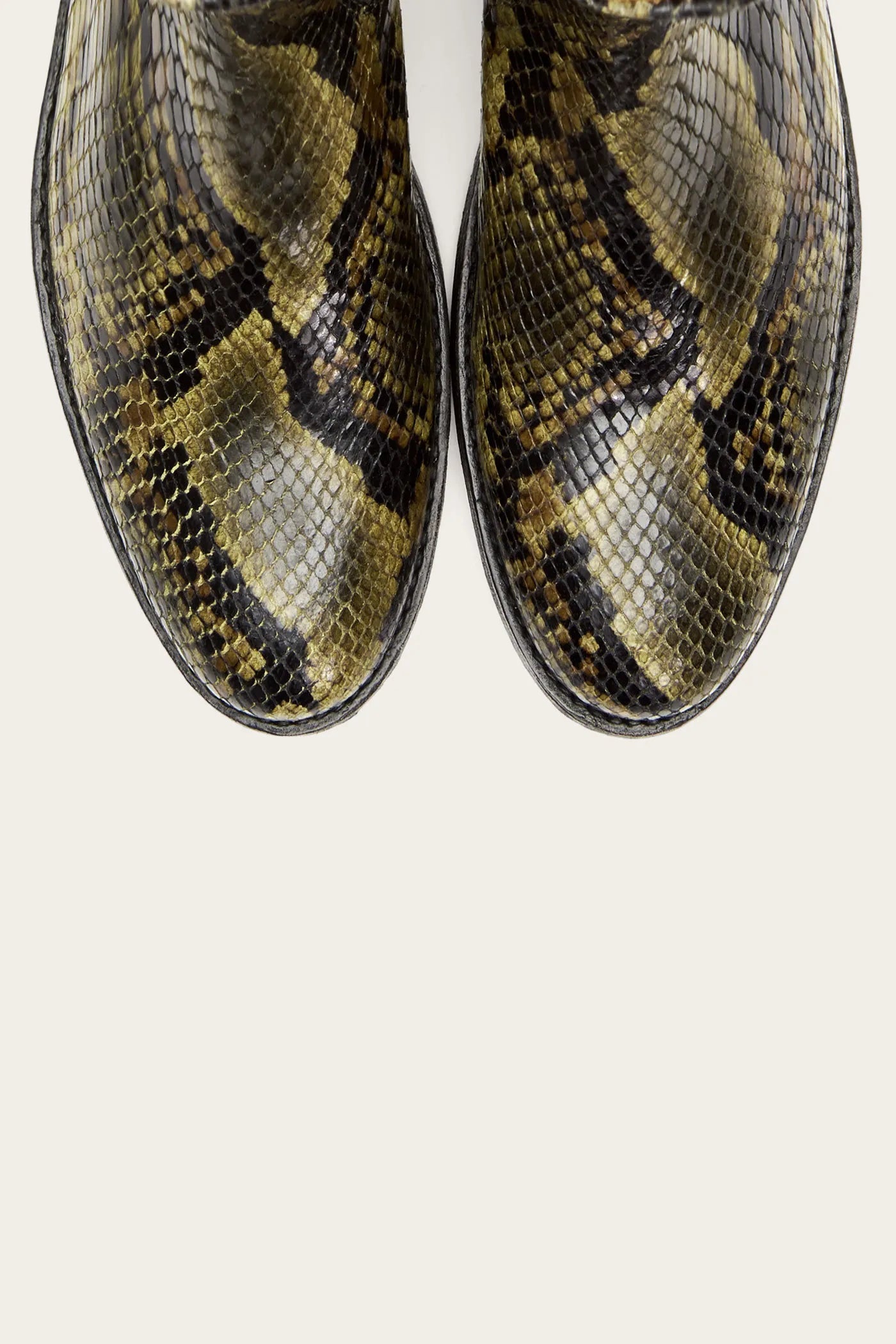 Olive Multi