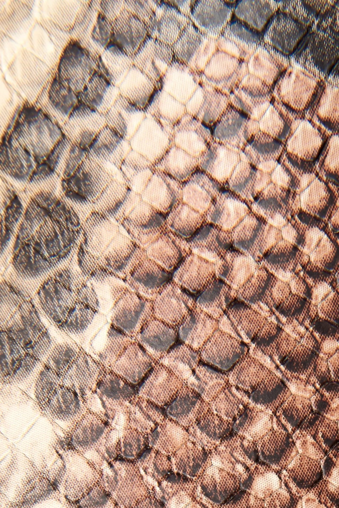 Taupe Snake