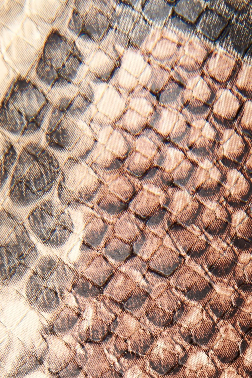 Taupe Snake