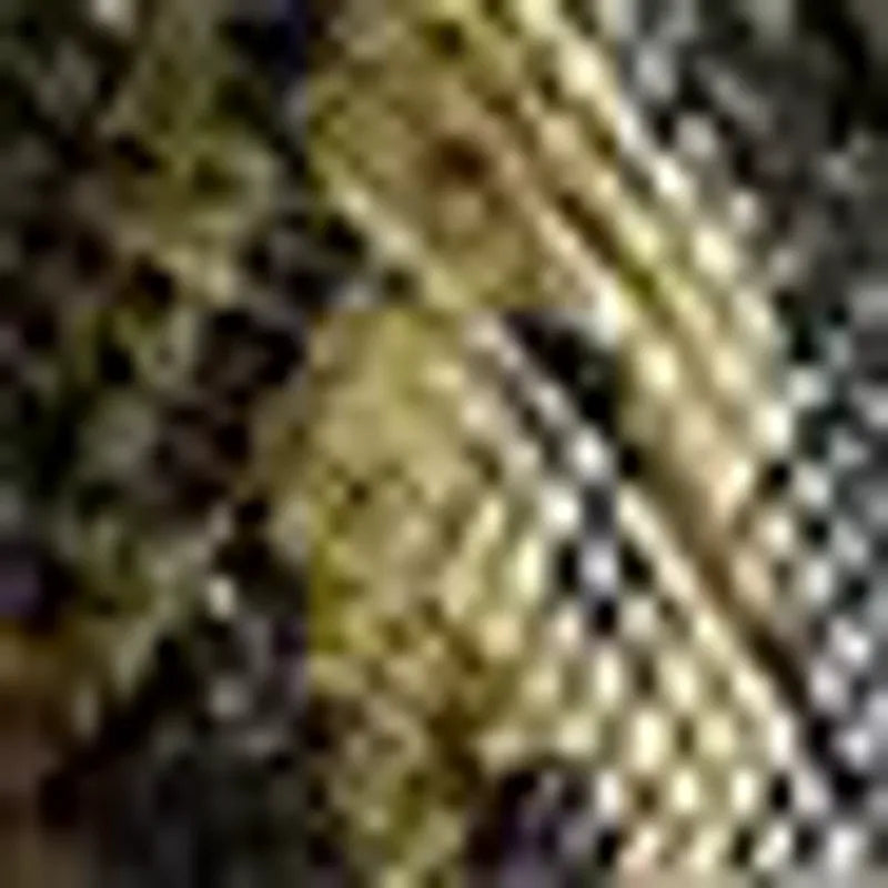 Olive Multi
