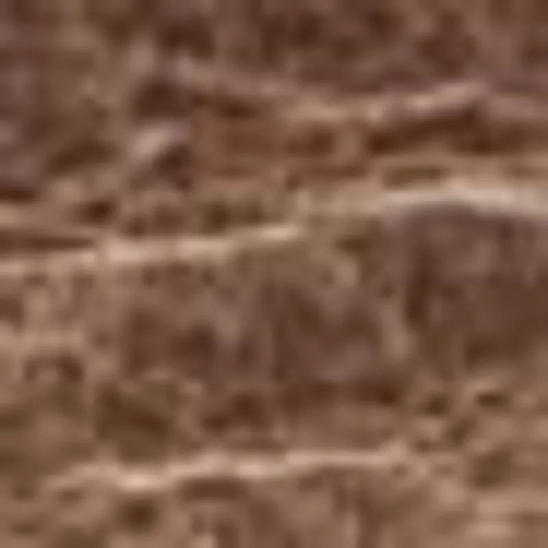 Stone