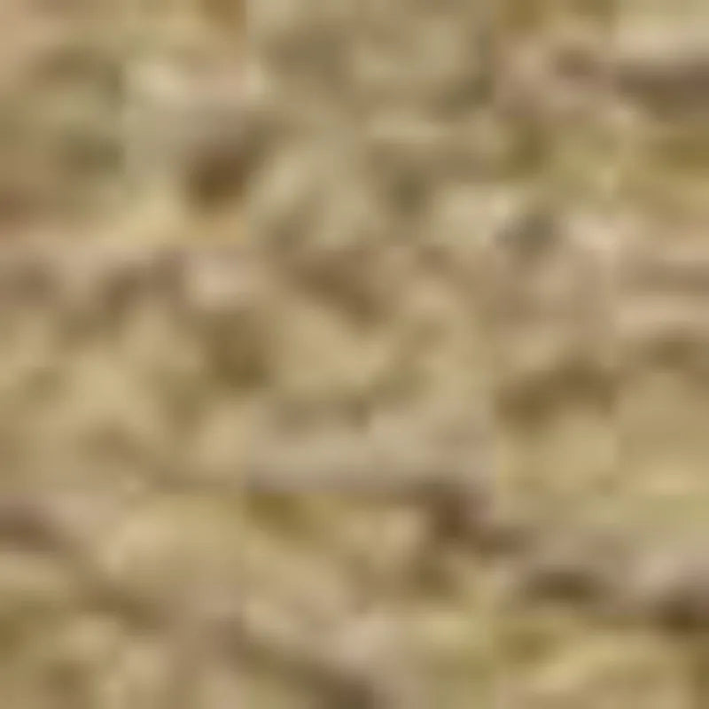 Cement
