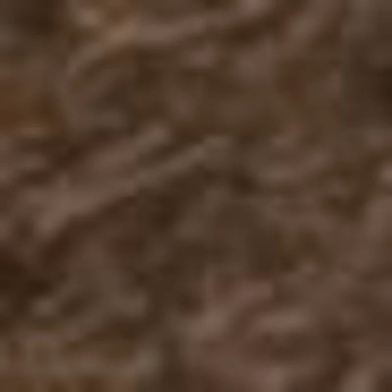 Dark Taupe