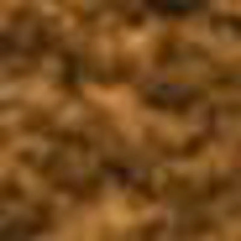 Chestnut