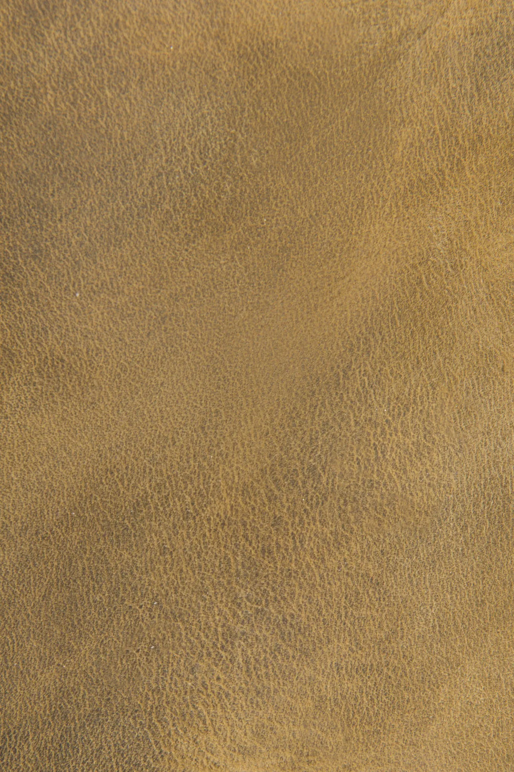 Saddle
