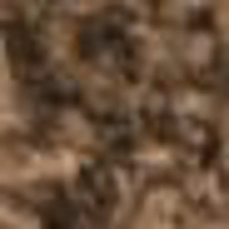 Taupe Multi