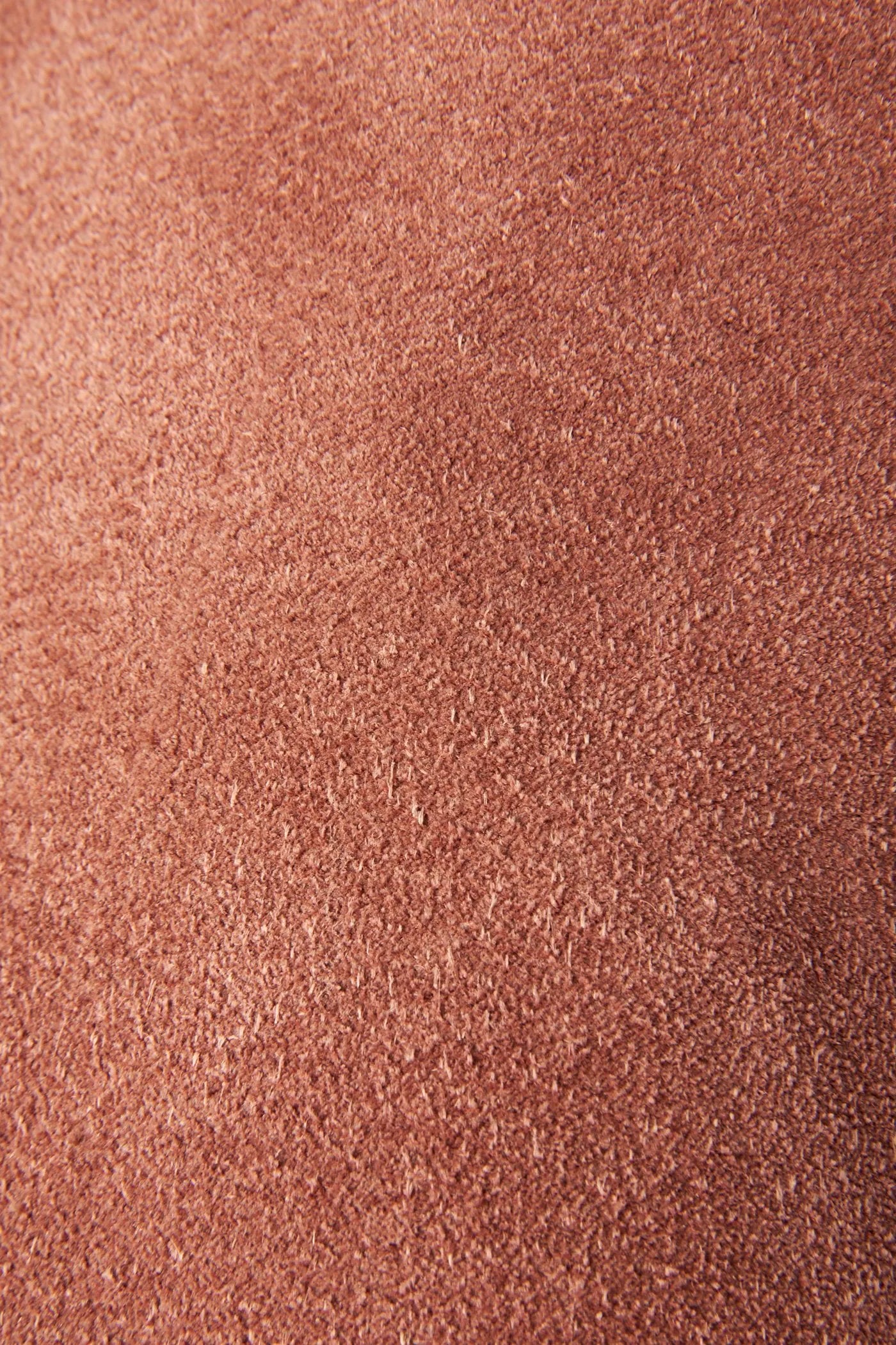 Light Rose