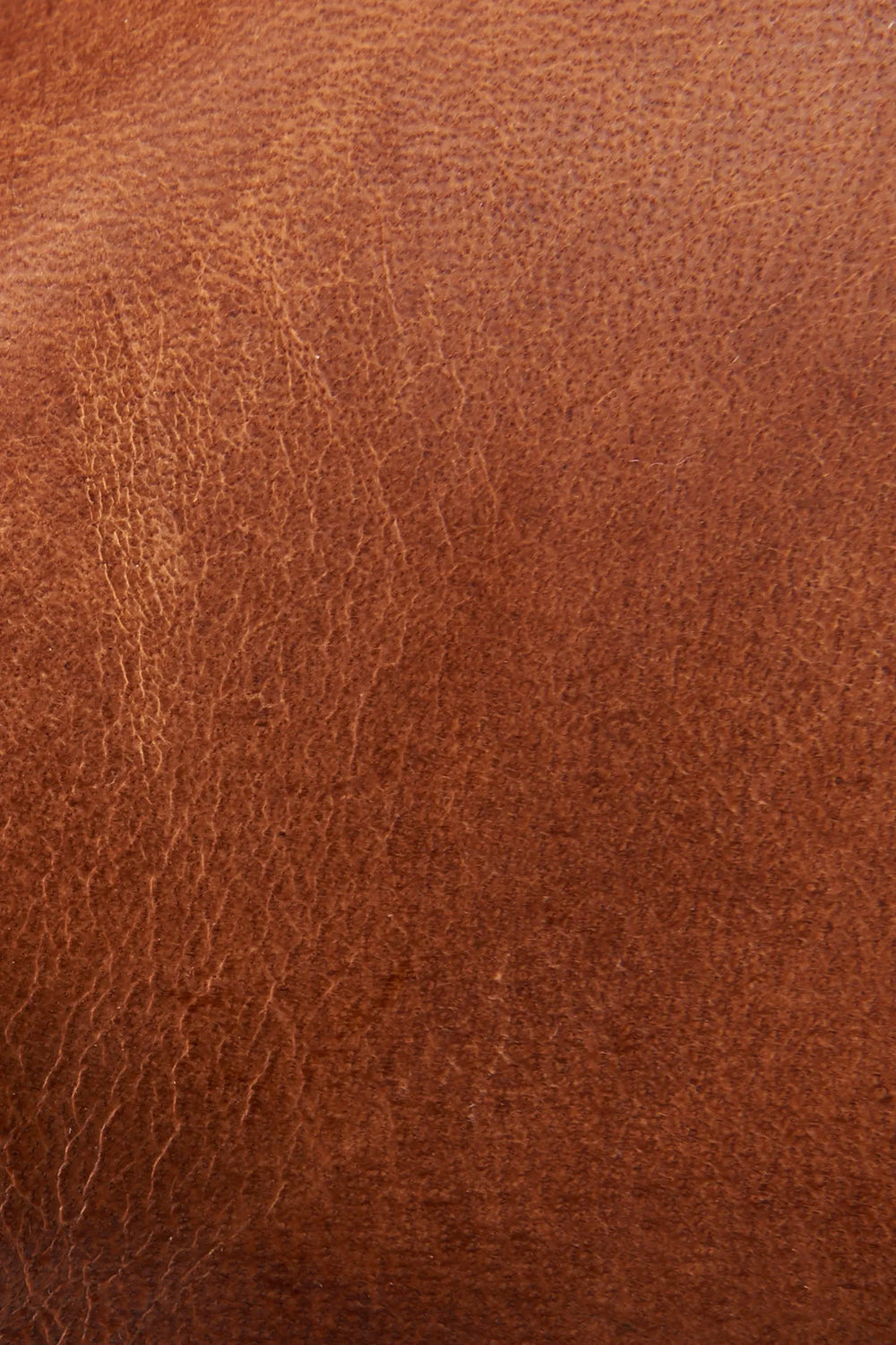 Light Cognac