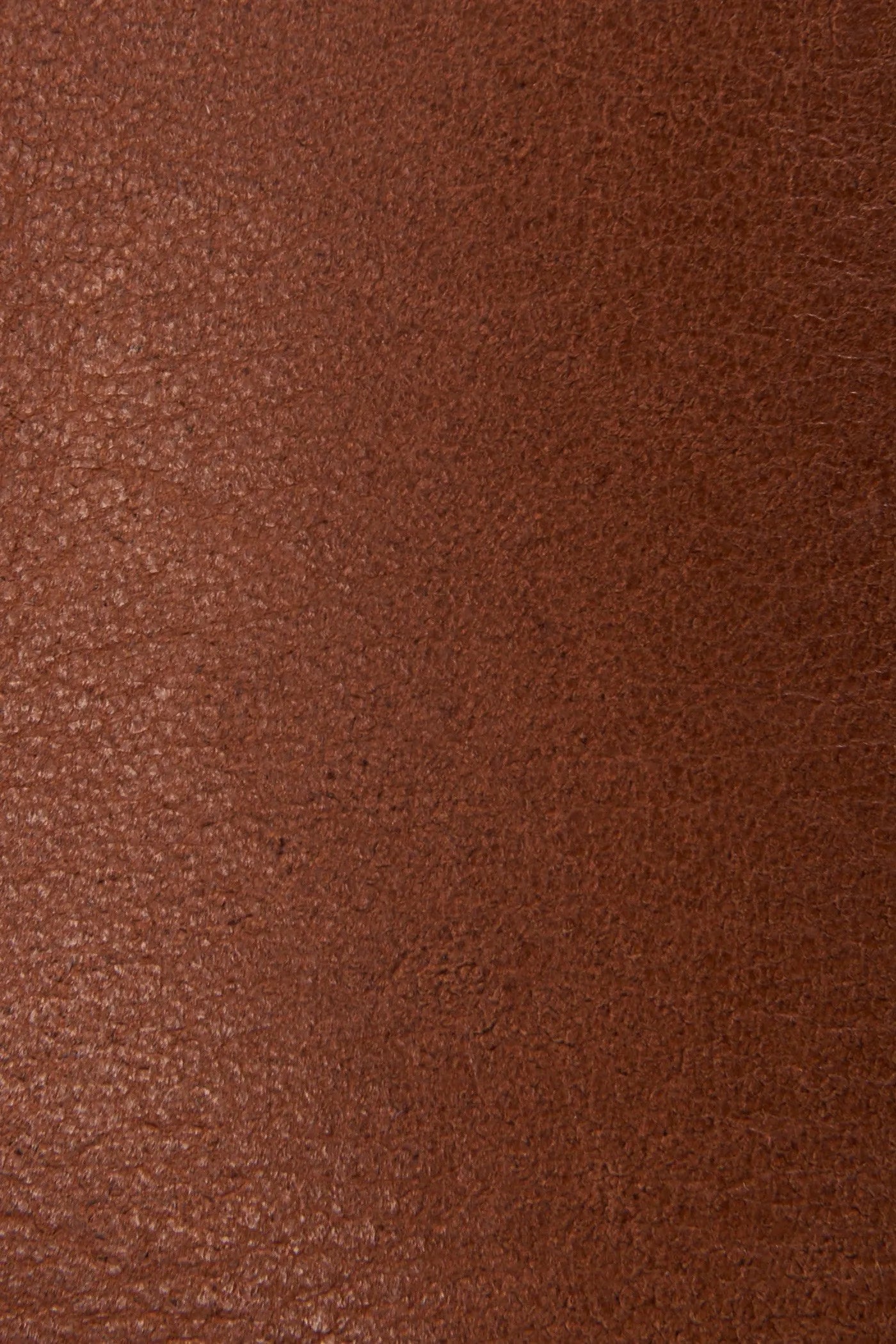 Molasses