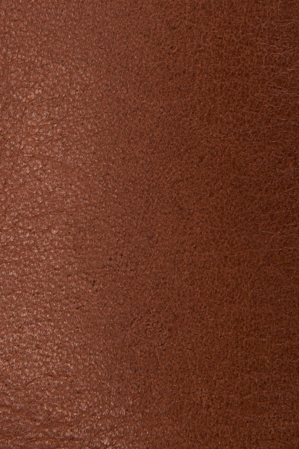 Molasses