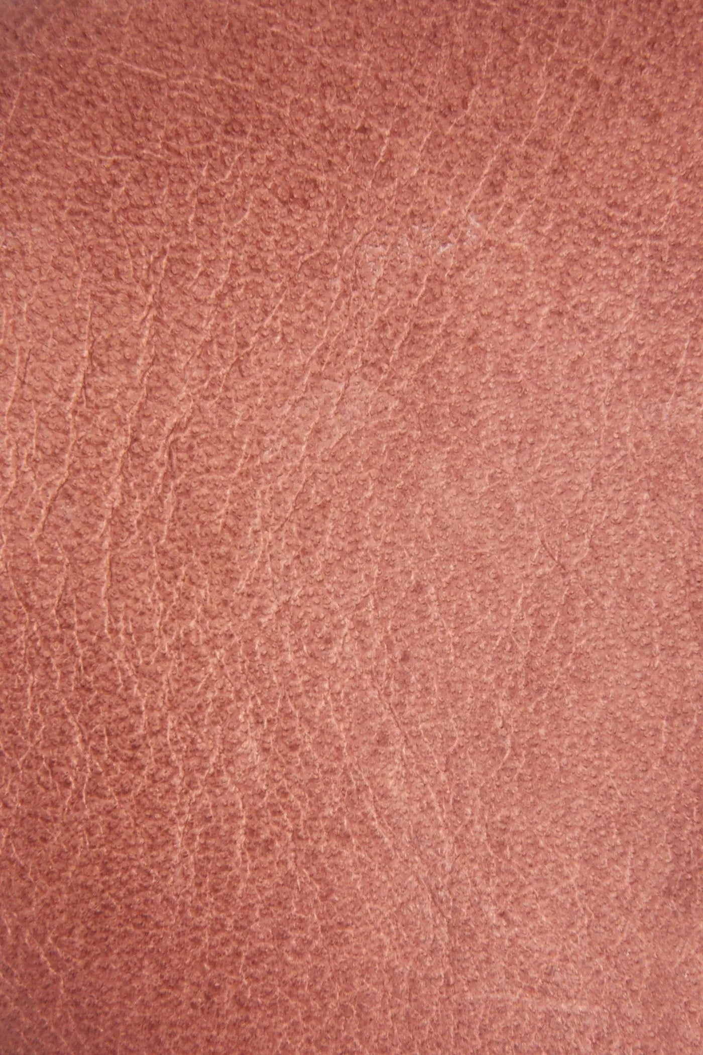 Pale Blush