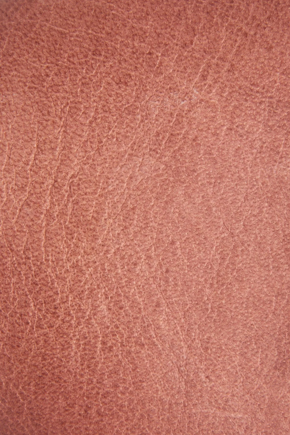 Pale Blush
