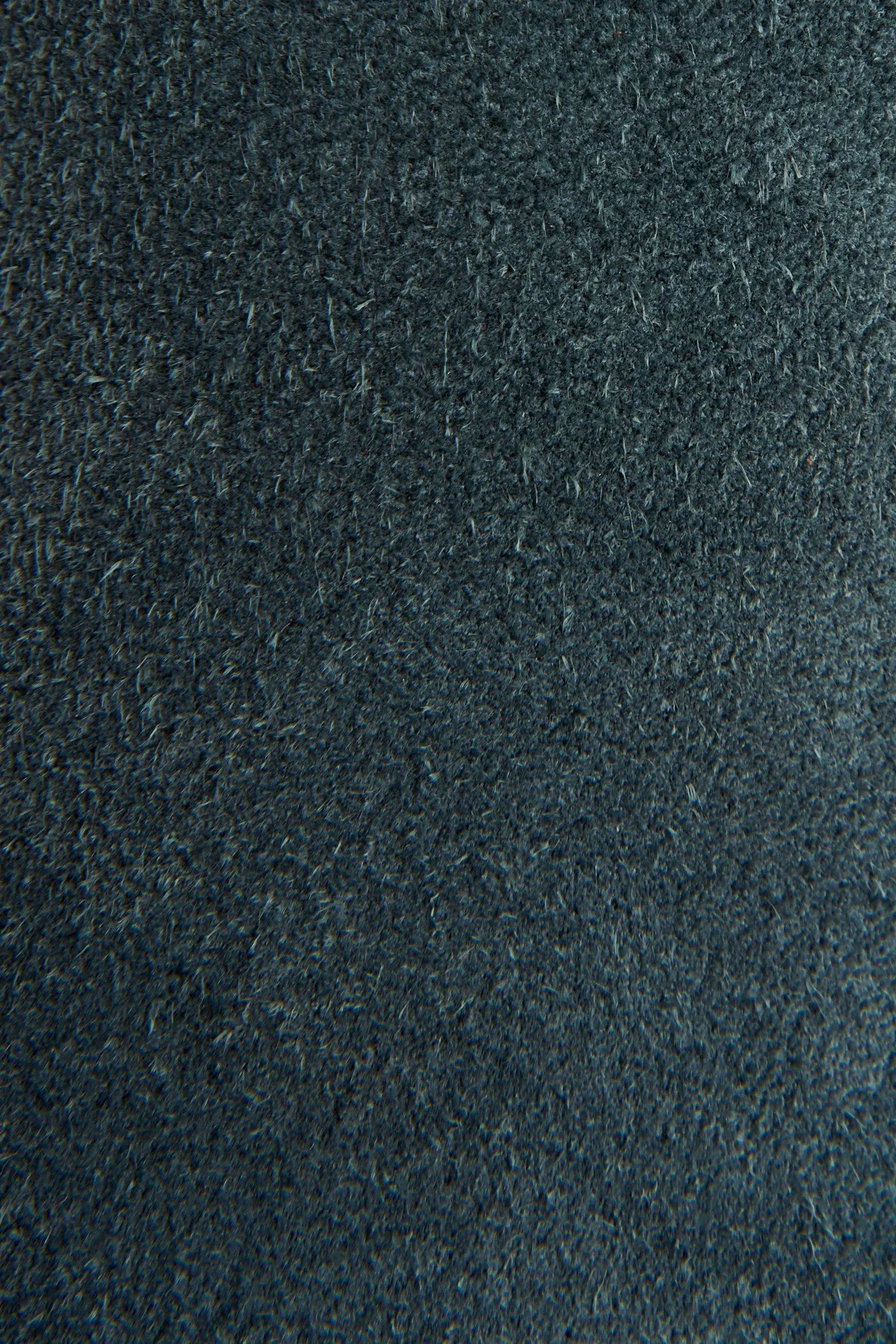 Sea Pine