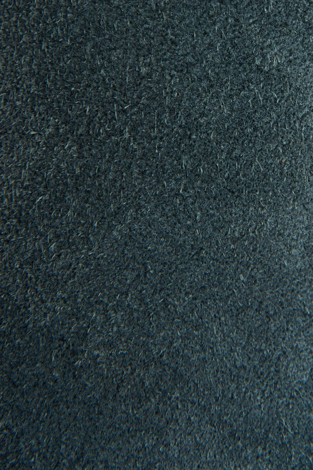 Sea Pine