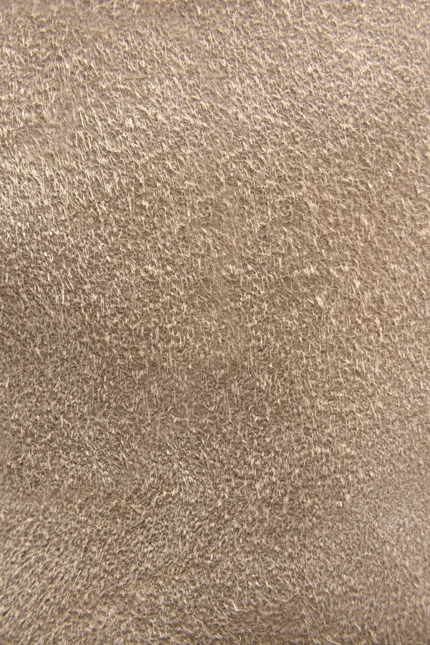Fawn