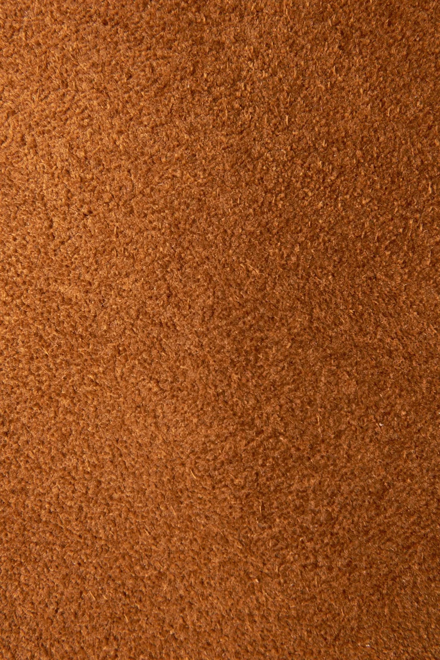 Wheat