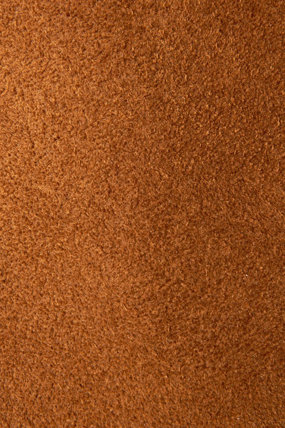 Wheat