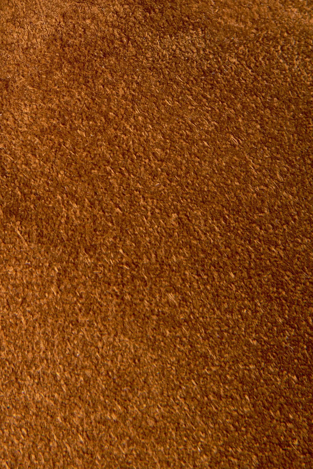 Wheat