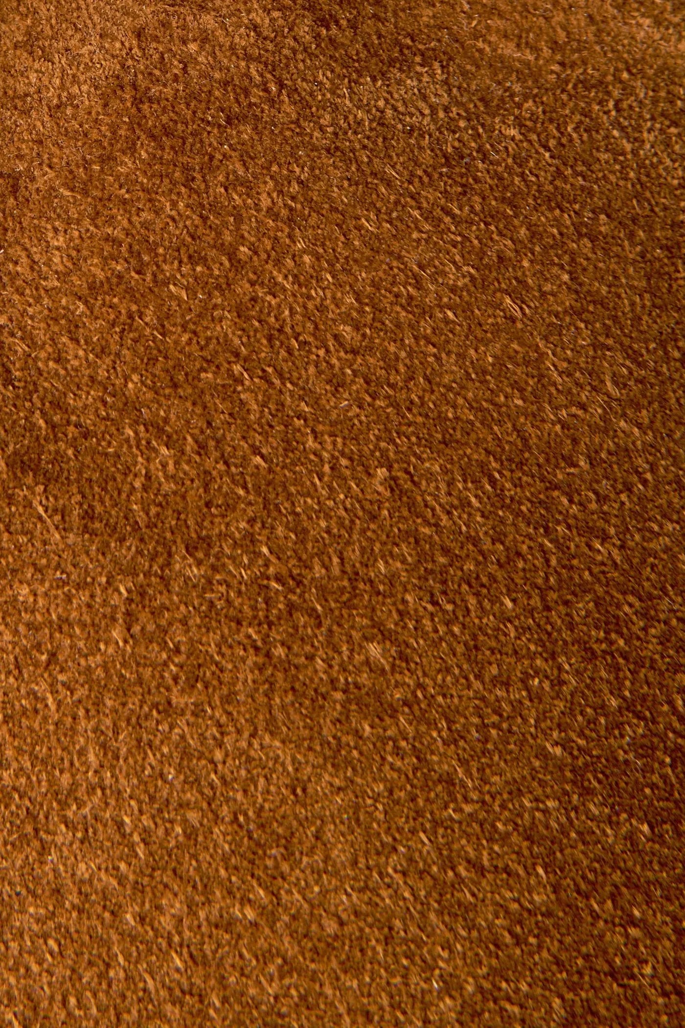 Wheat