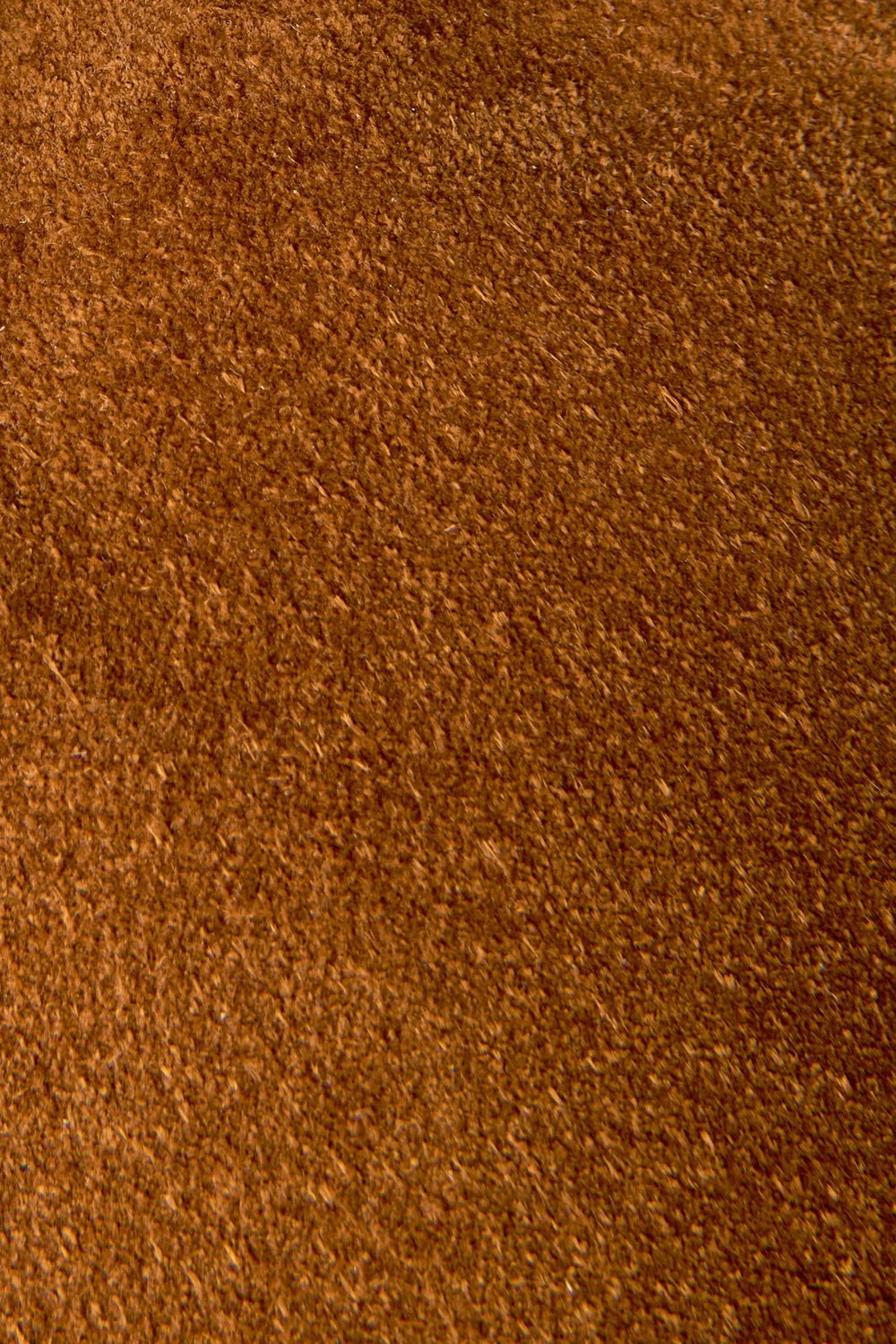 Wheat