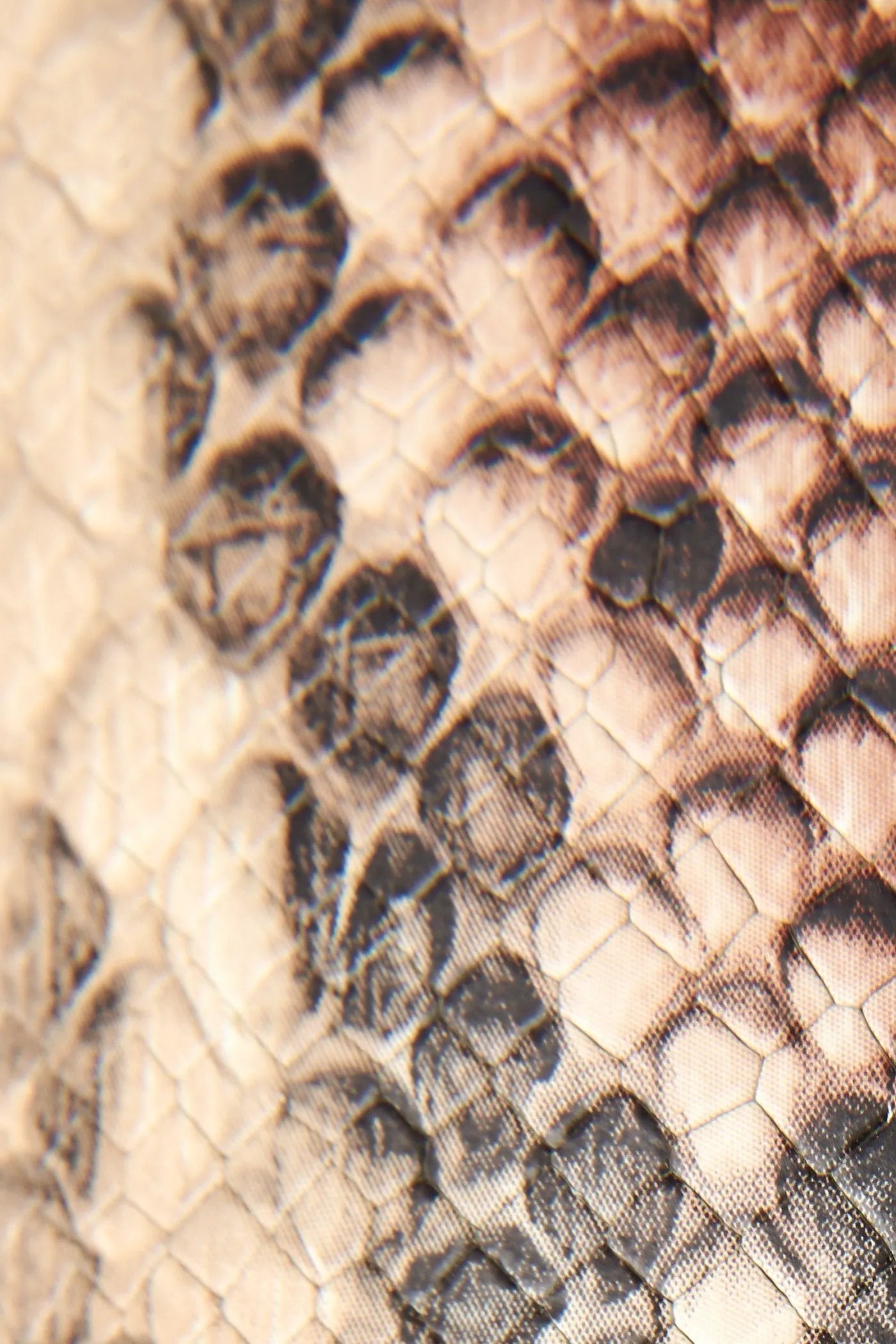 Taupe Snake