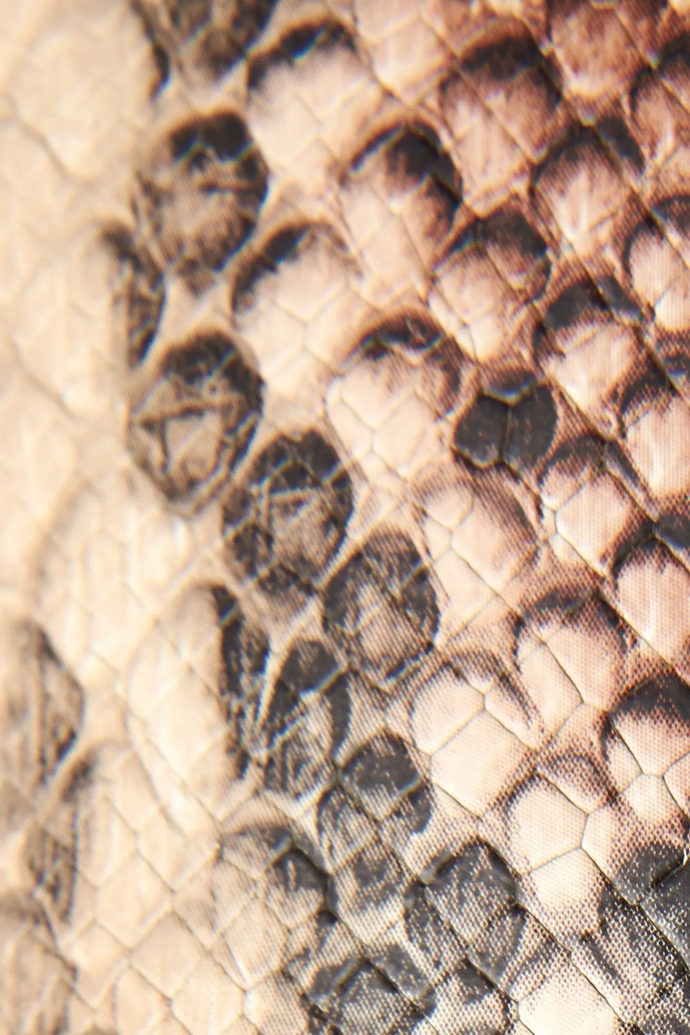 Taupe Snake