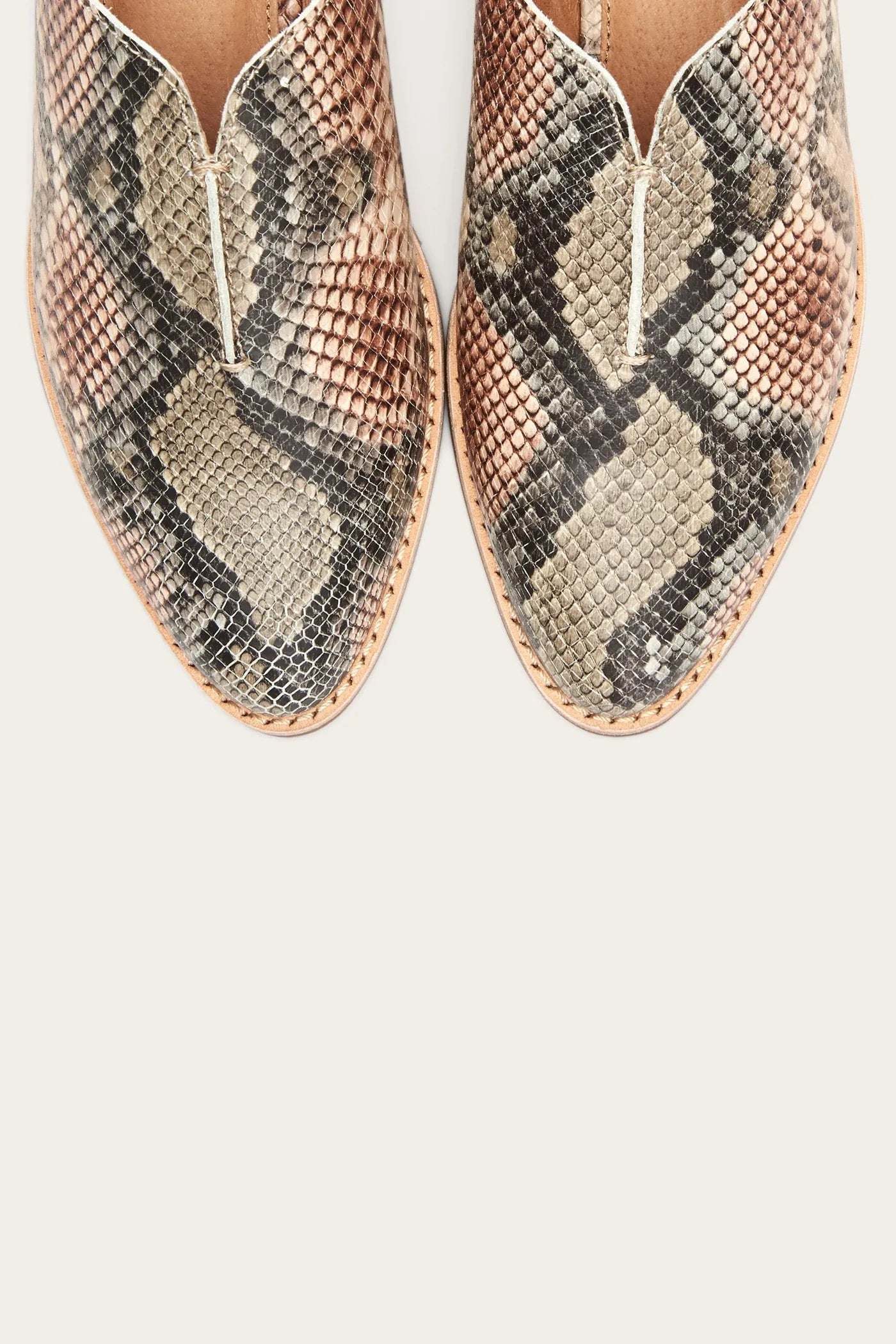 Taupe Snake