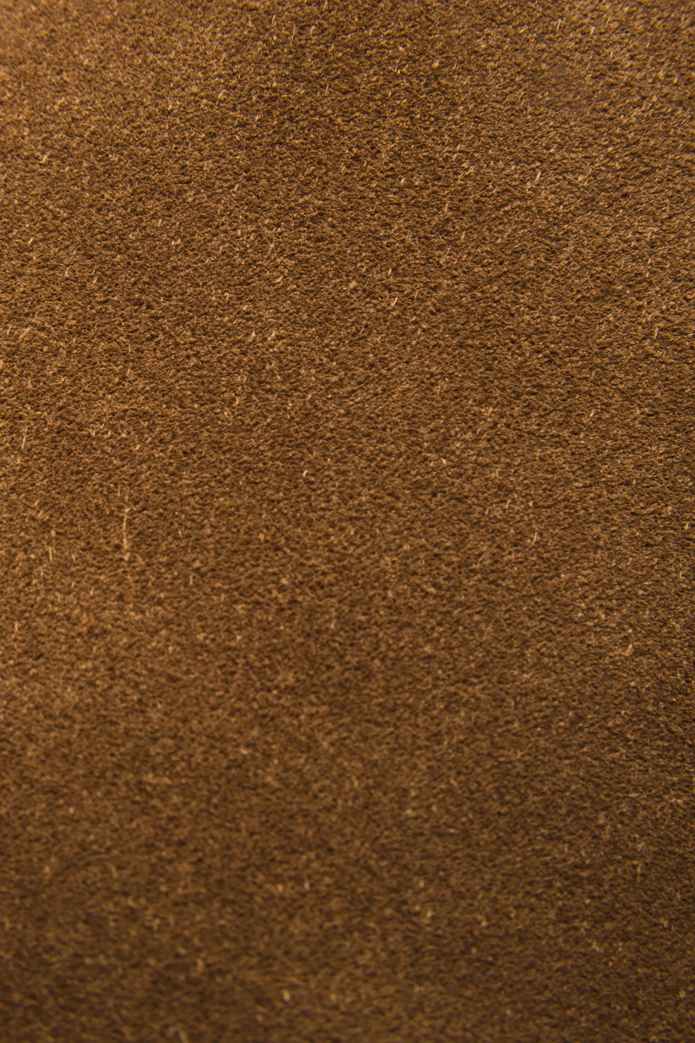 Chestnut