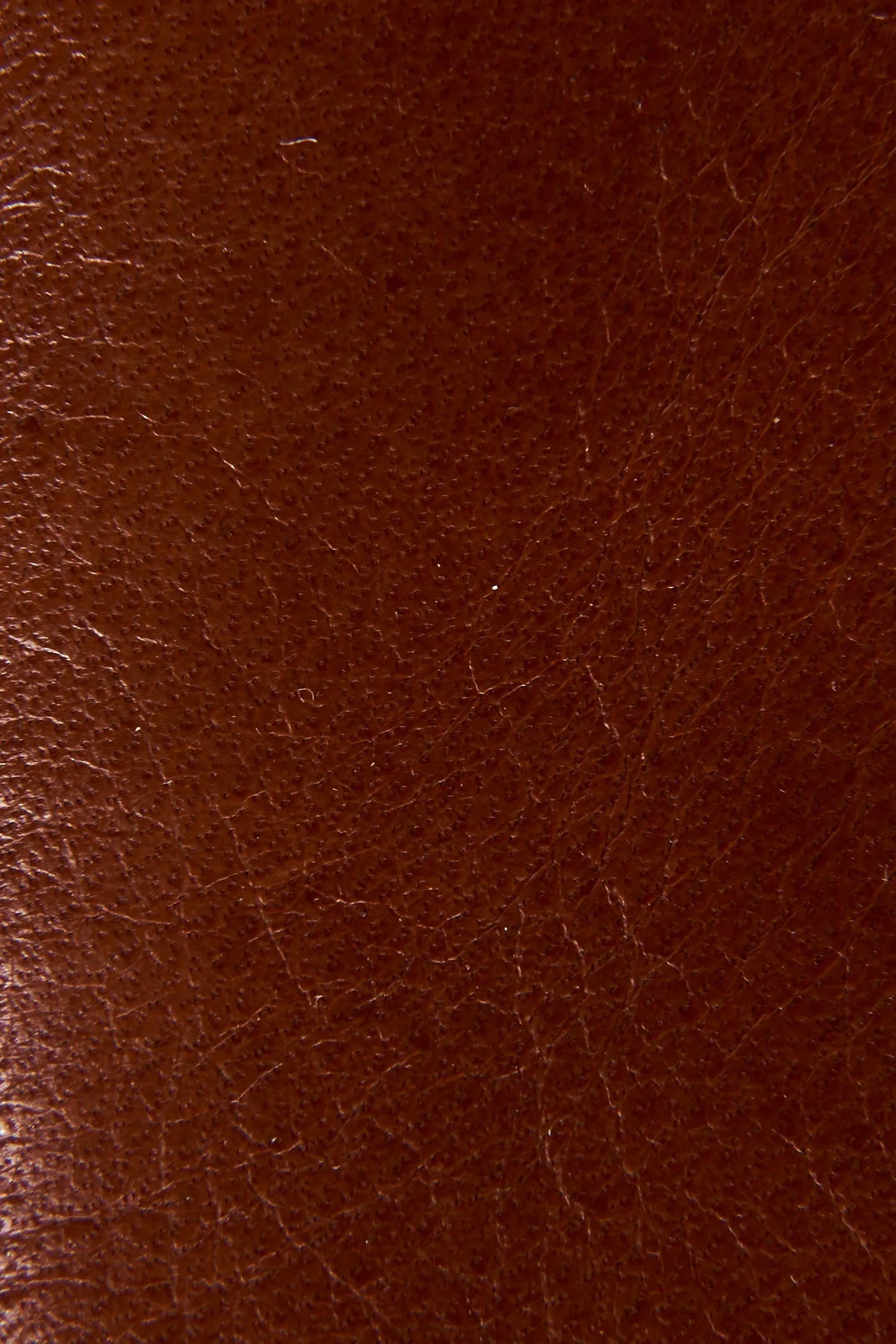 Saddle