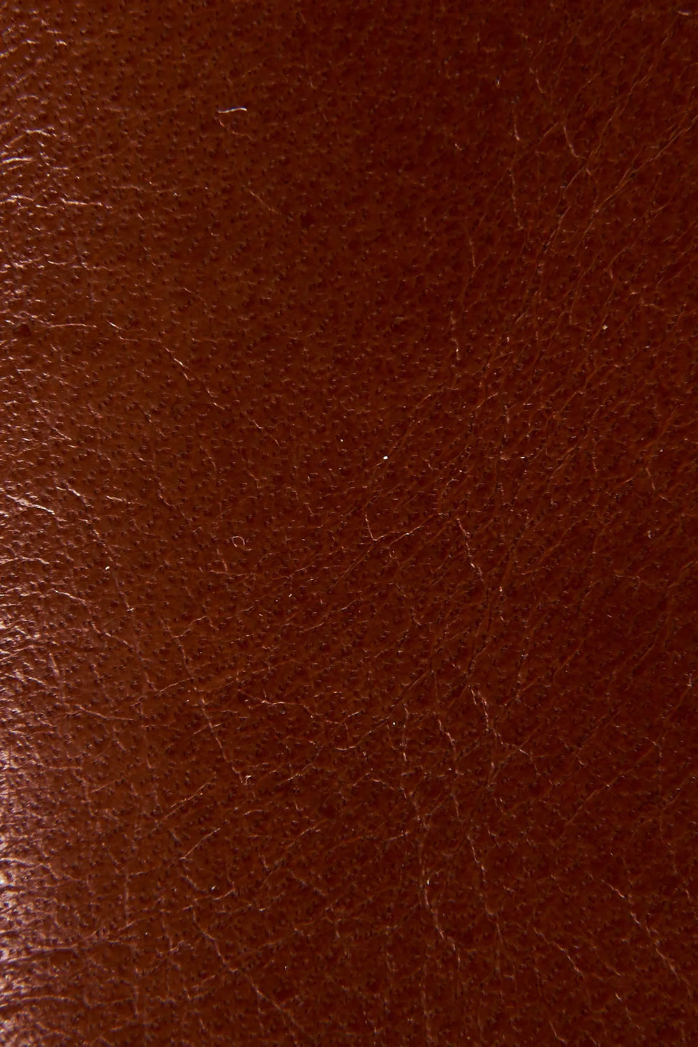Saddle