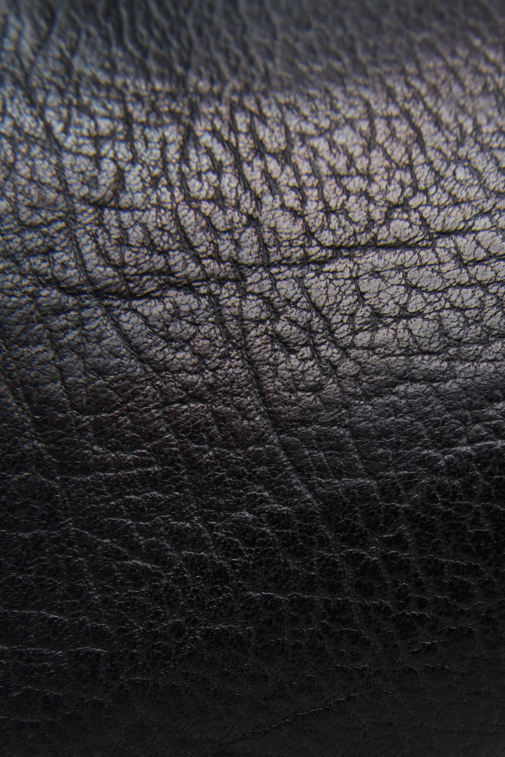 Black Extended