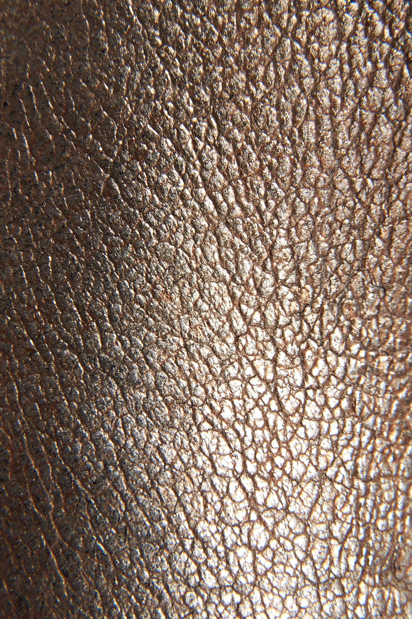 Golden Silver
