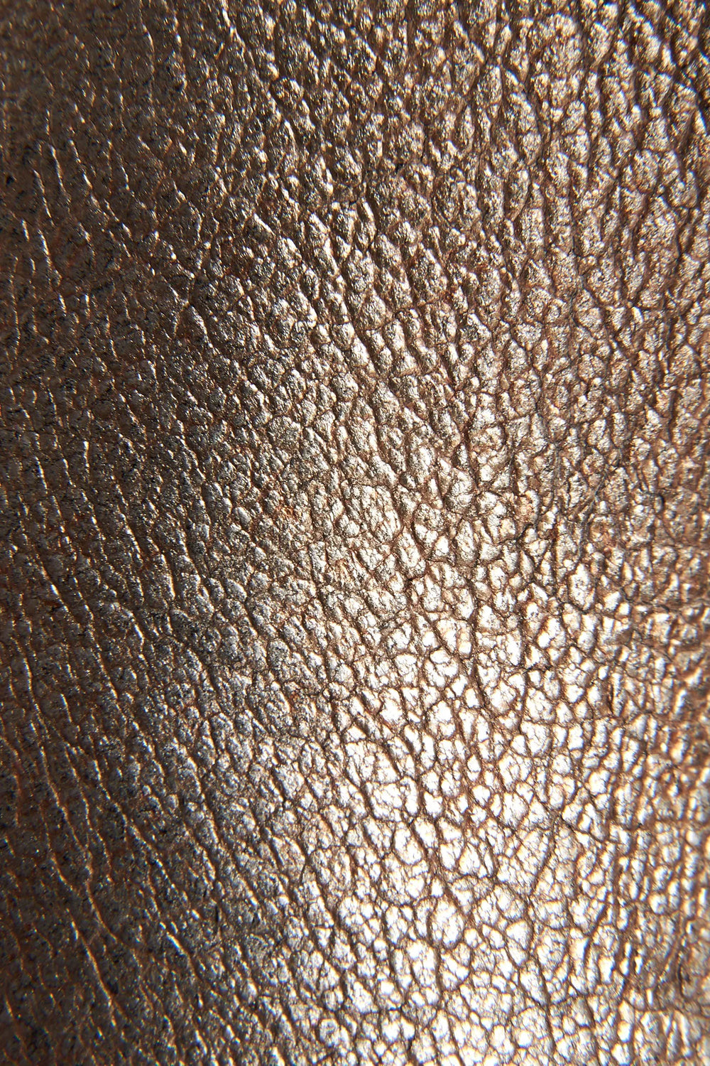 Golden Silver