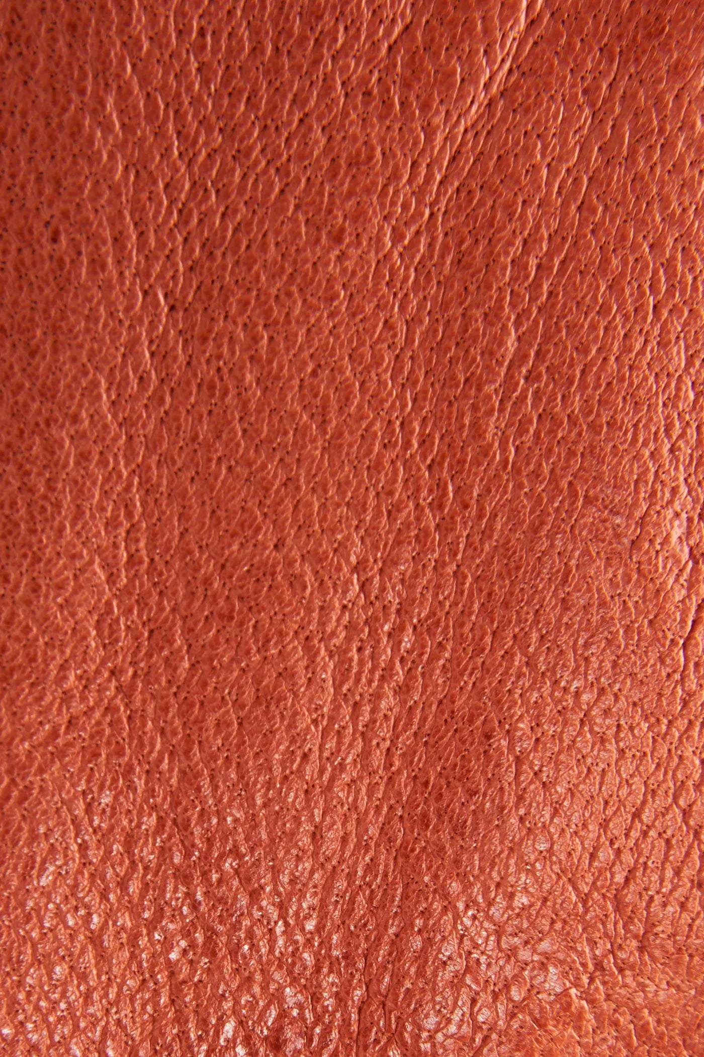 Sunset Orange