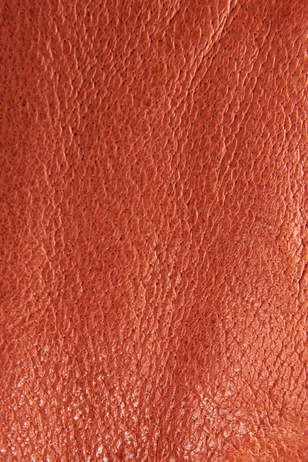 Sunset Orange