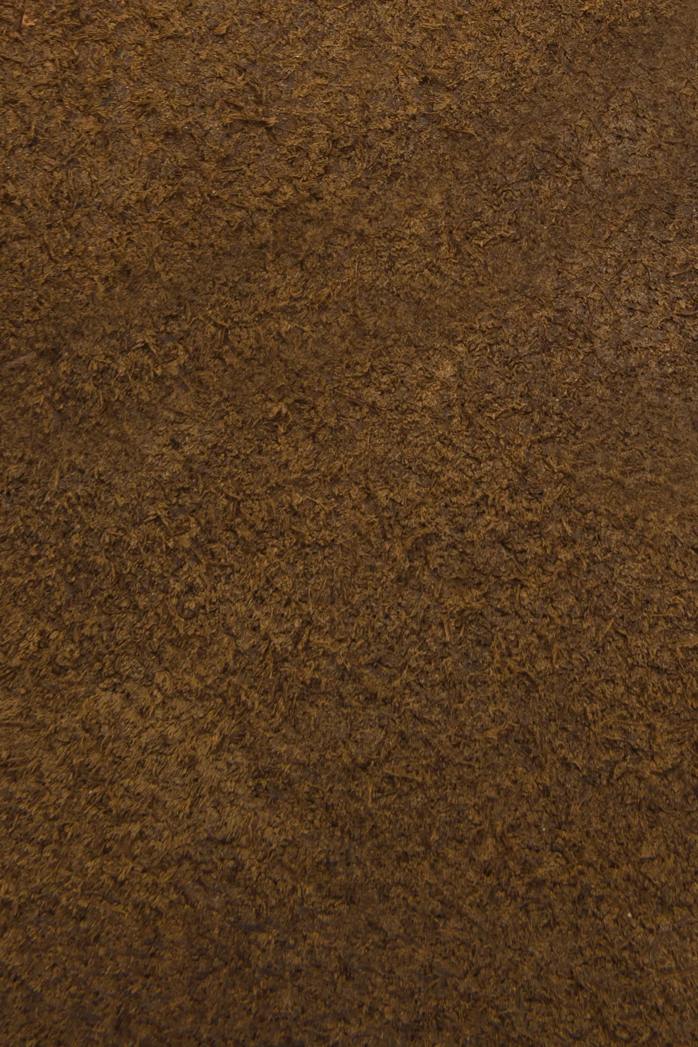 Chestnut