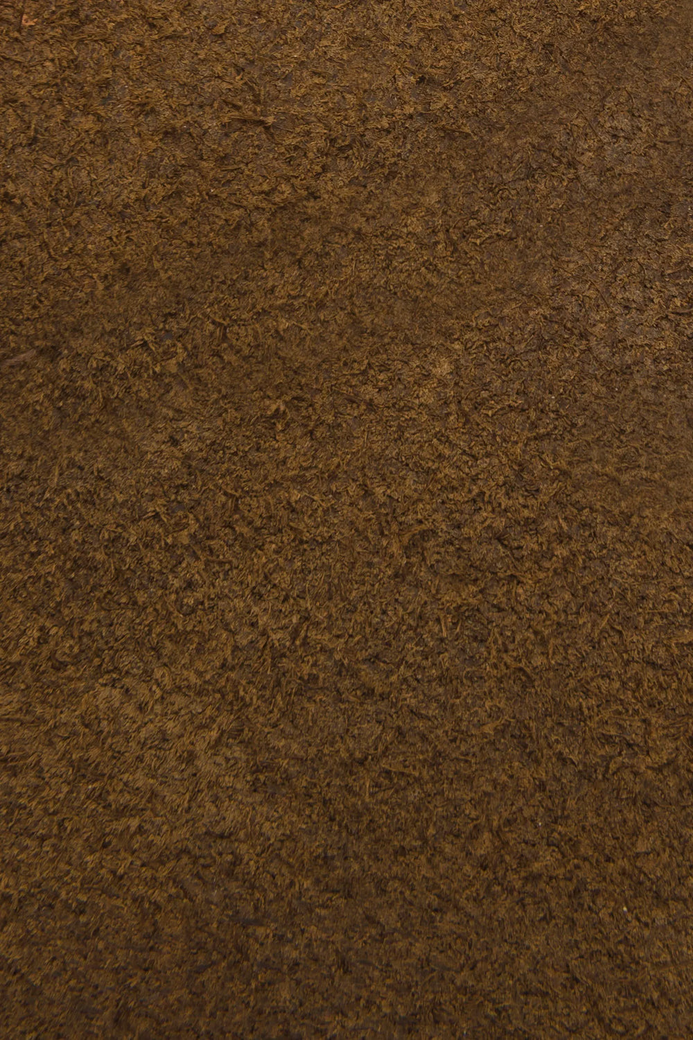 Chestnut