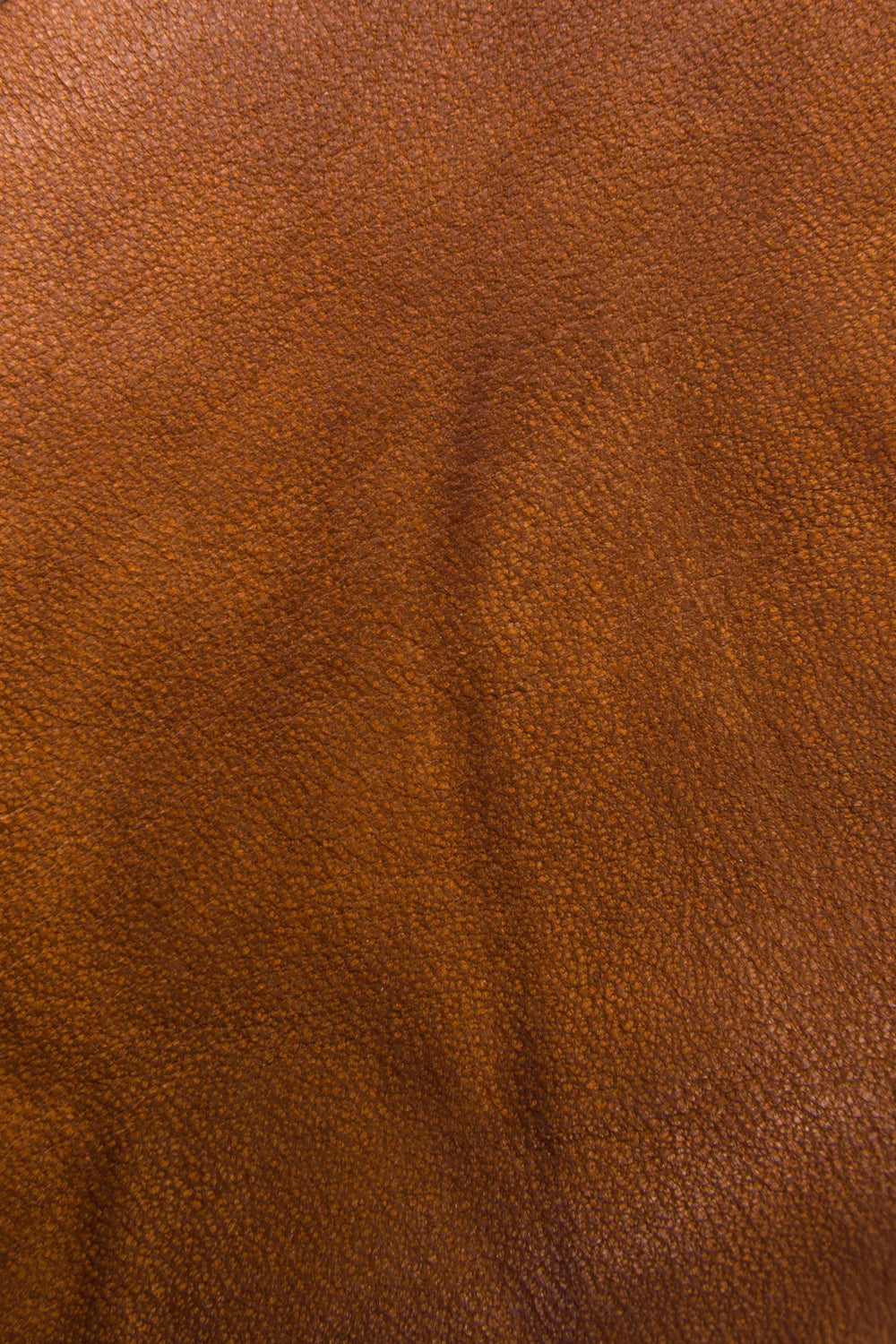 Saddle