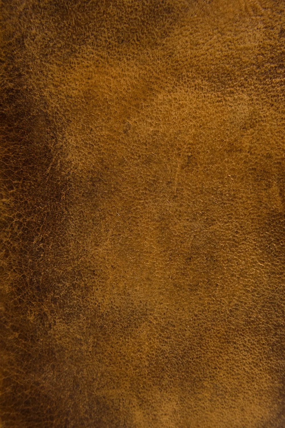 Cognac