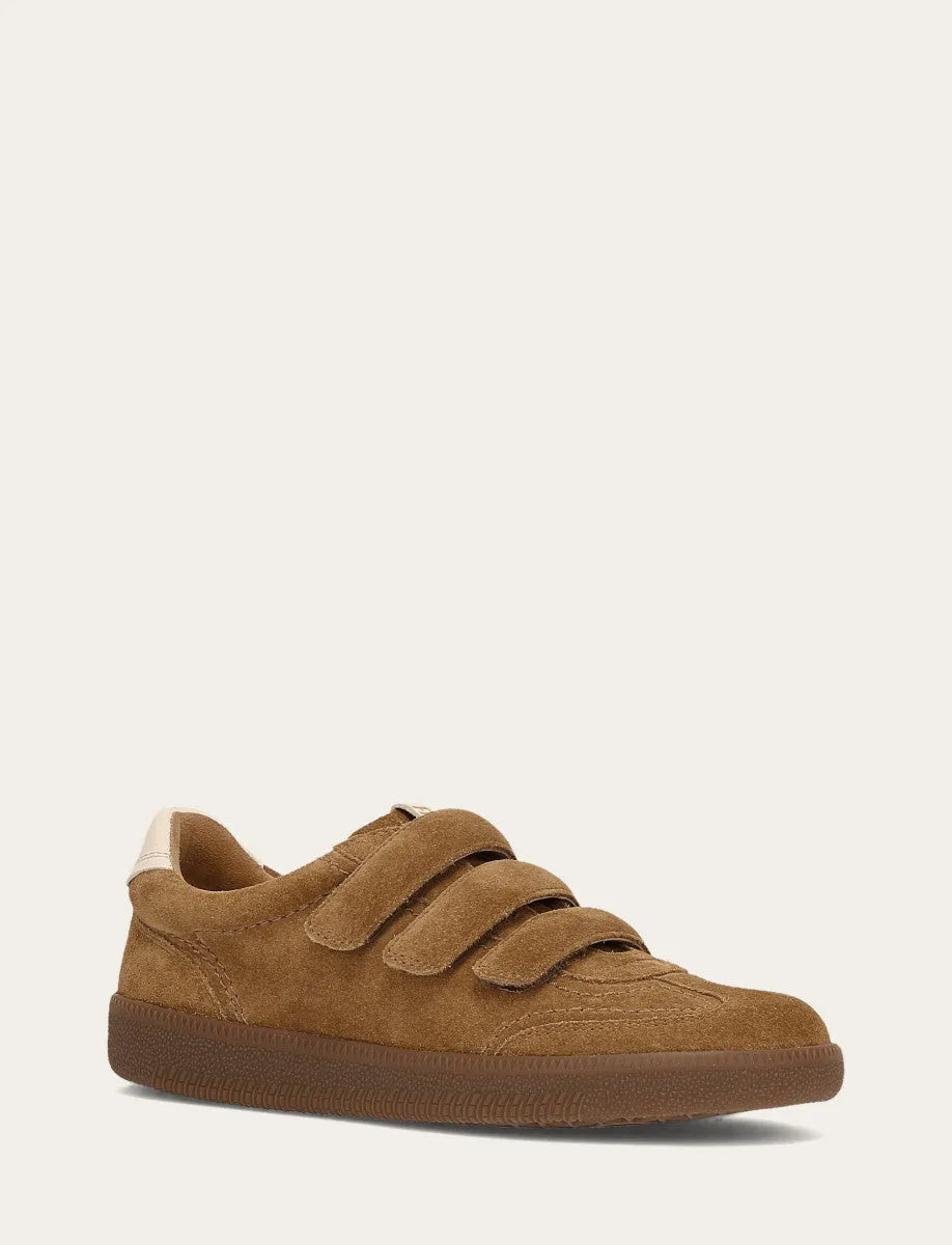 Barley