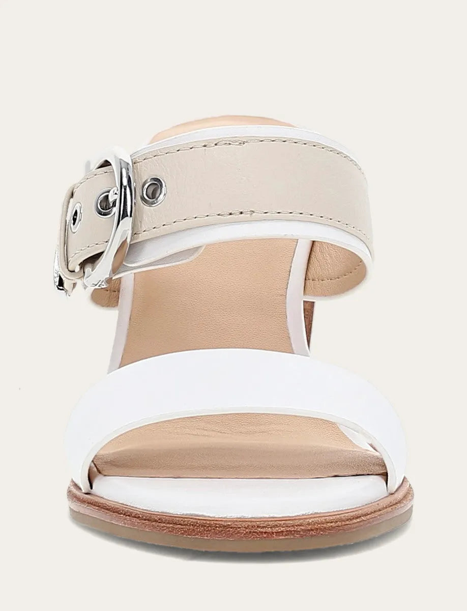 White/ivory